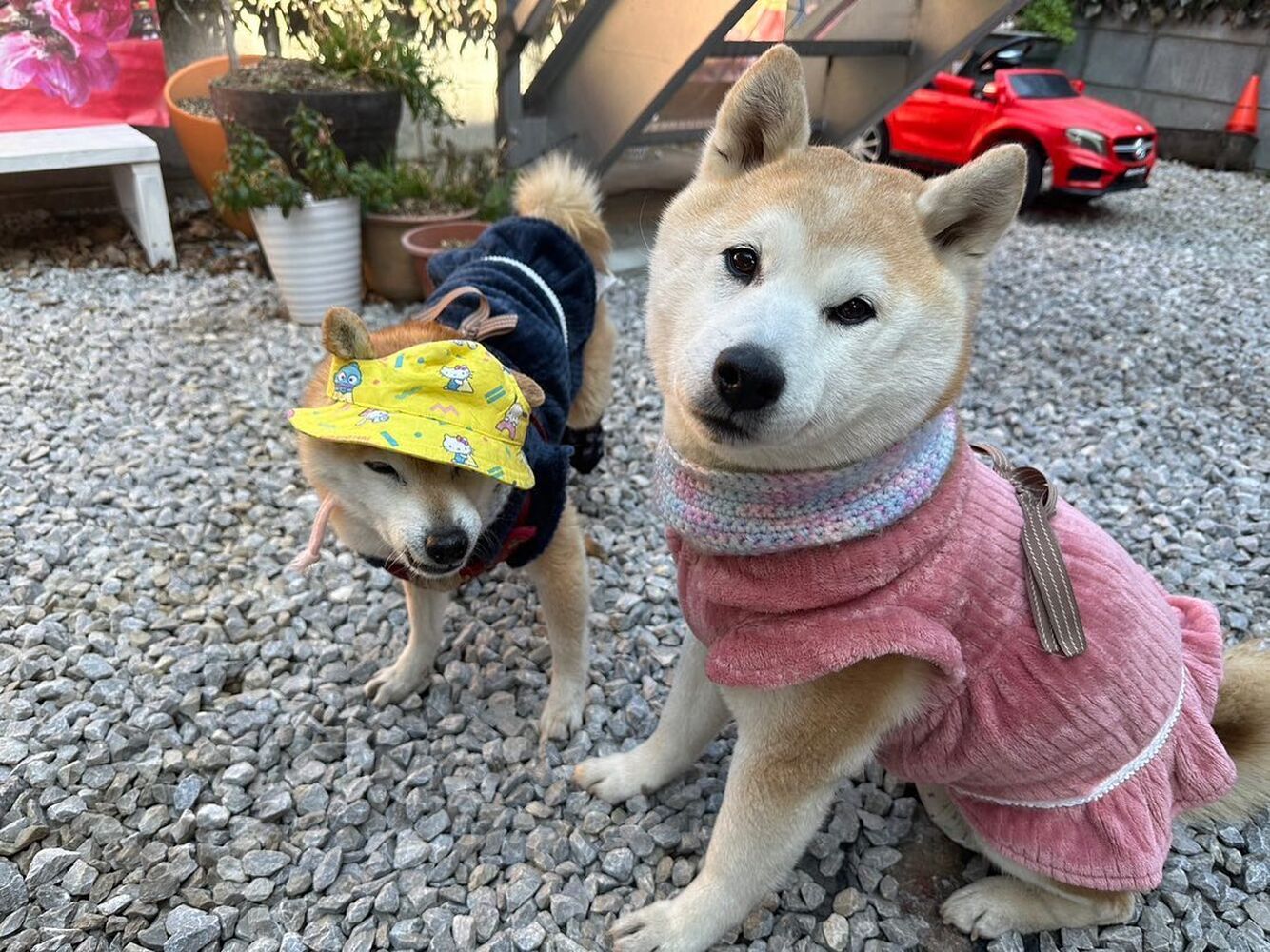画像8794