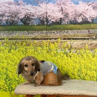 画像8816