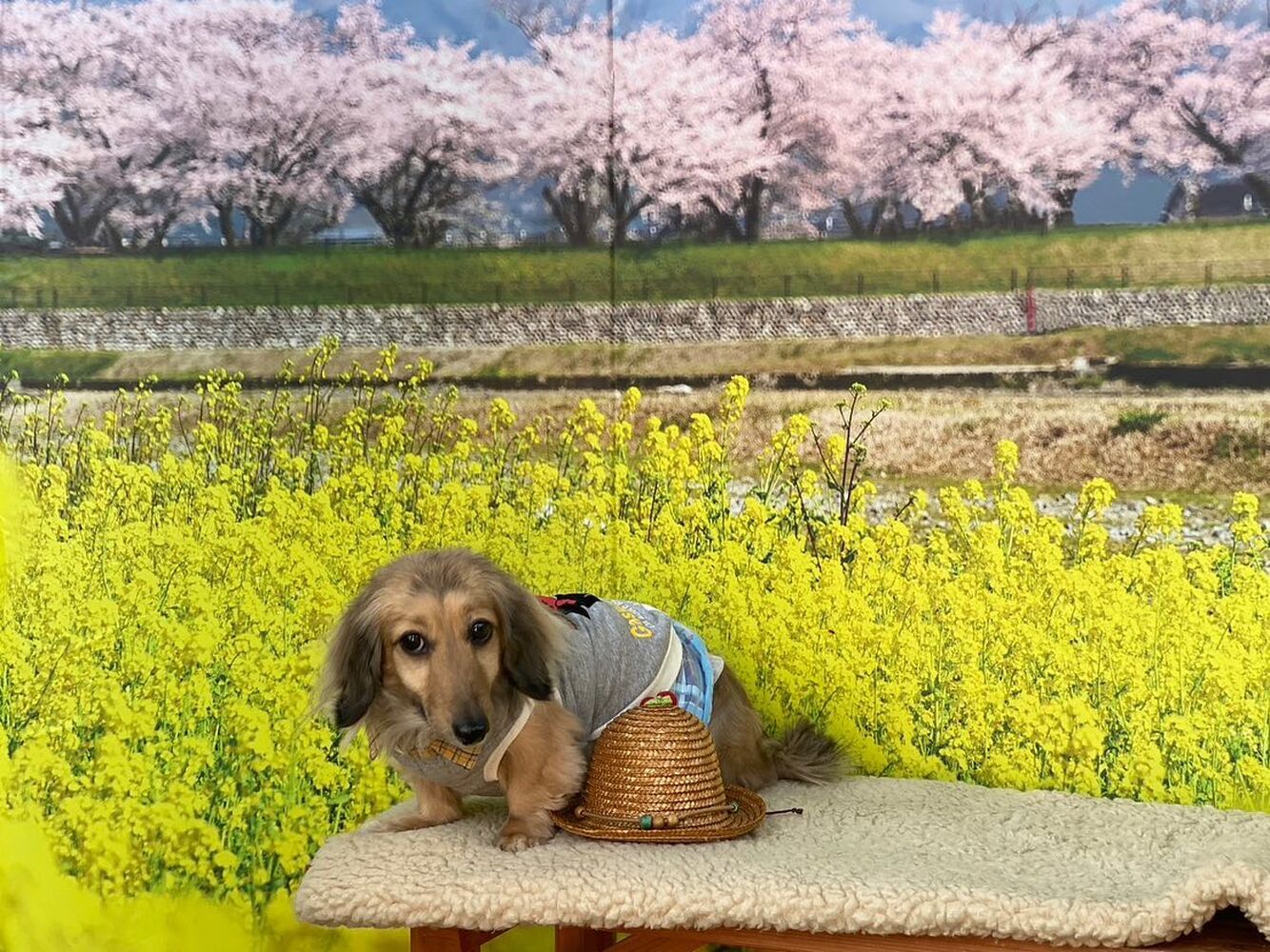画像8816