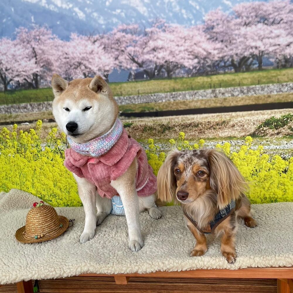画像8830