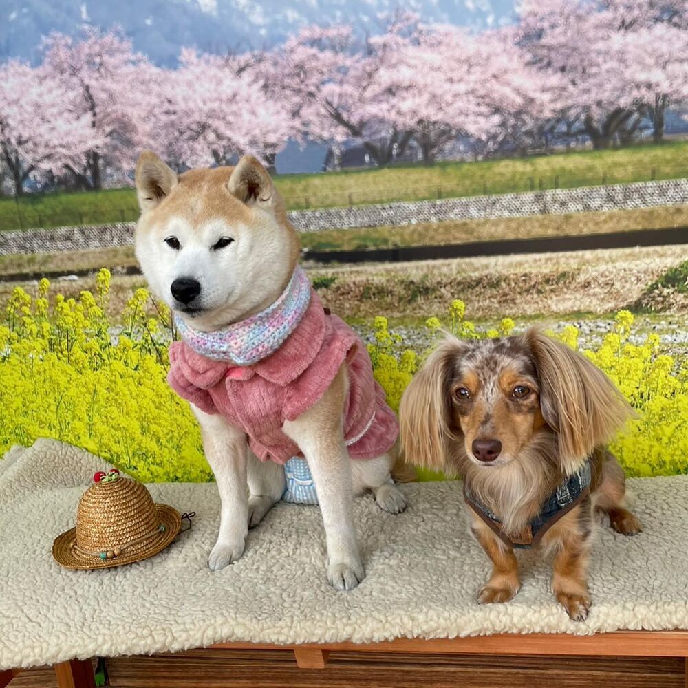 画像8831
