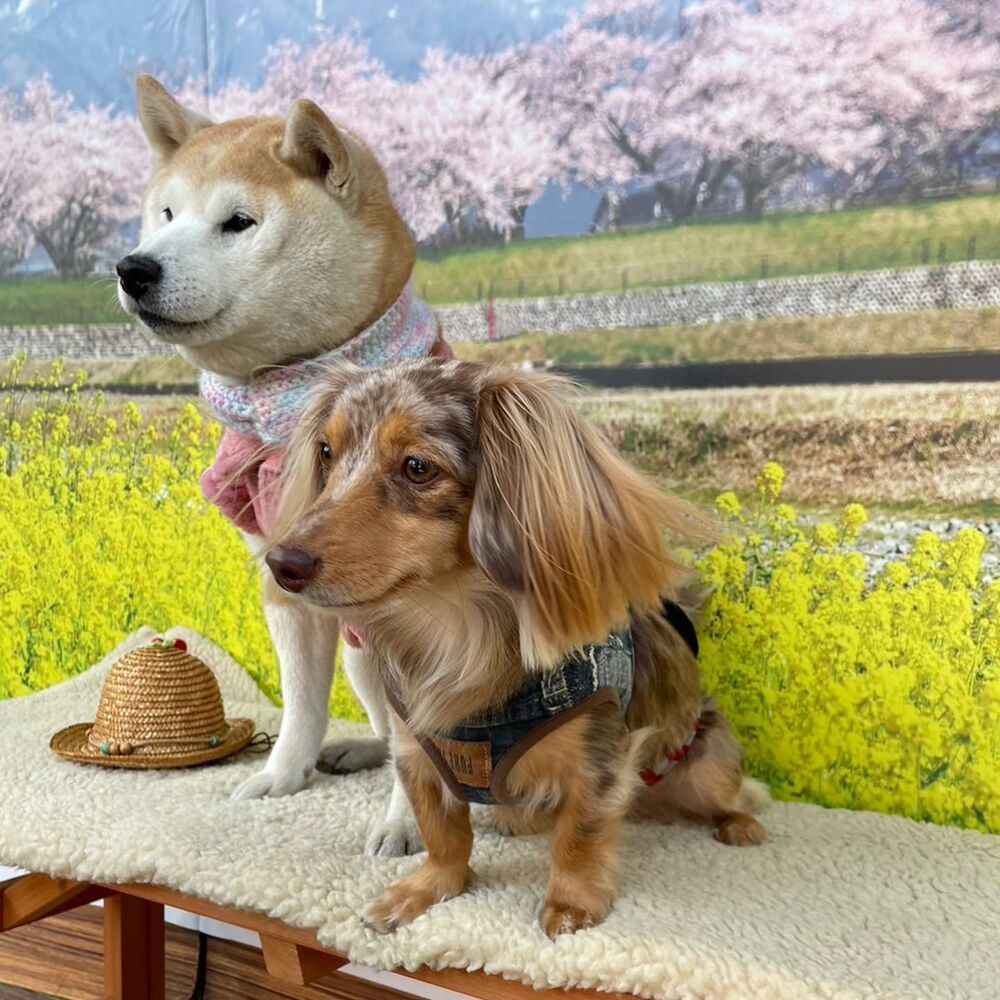 画像8832