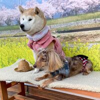 画像8833