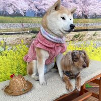画像8834