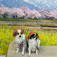画像8838