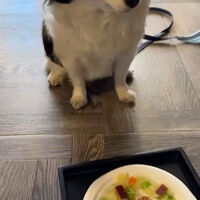 画像8845