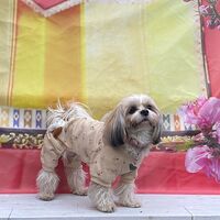 画像8857