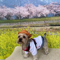 画像8878