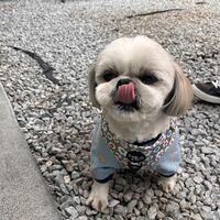 画像8899