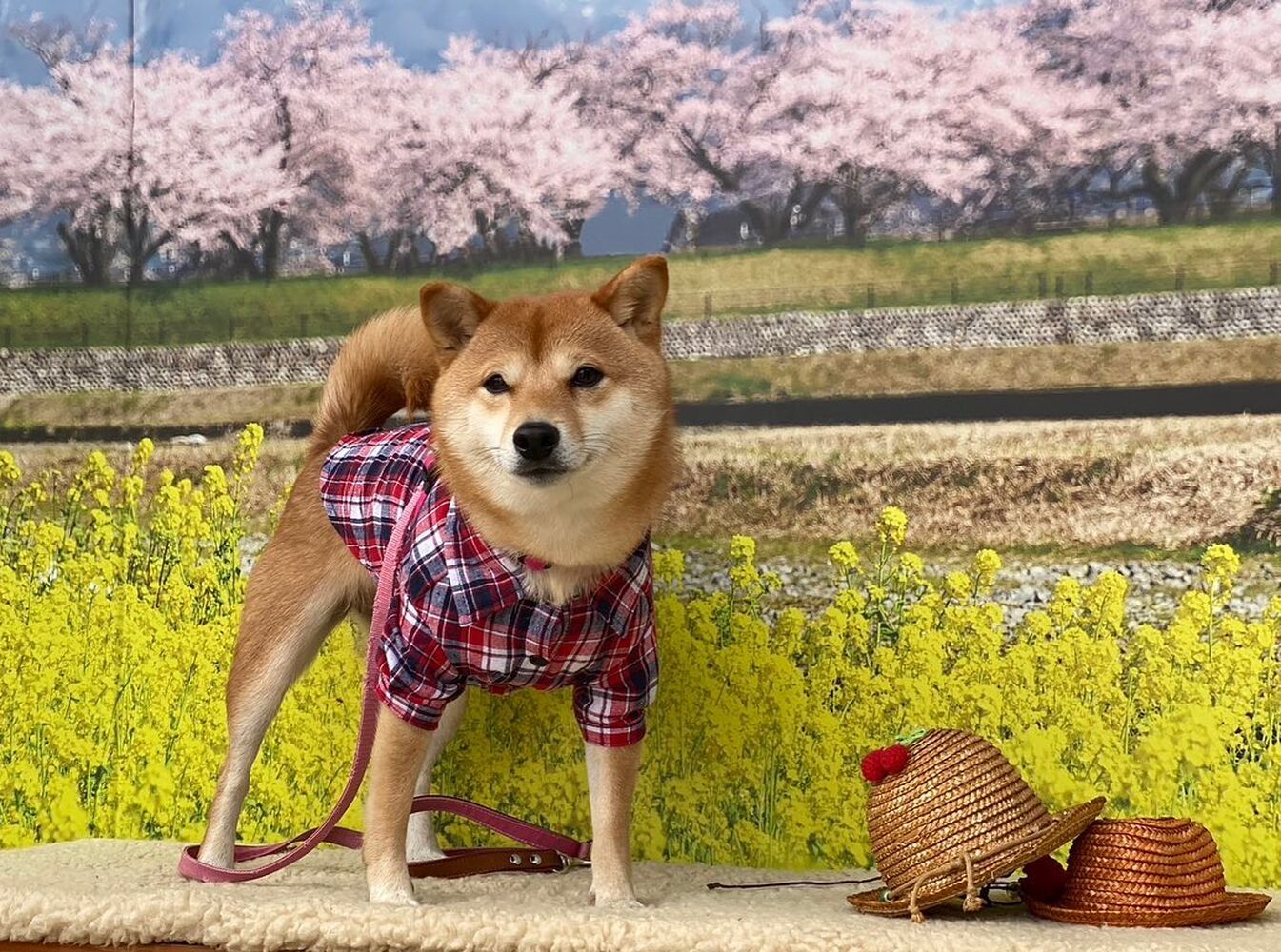 画像8902