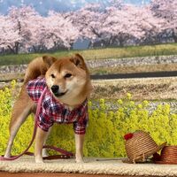 画像8903