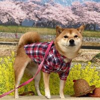 画像8906