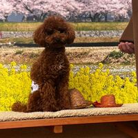 画像8922