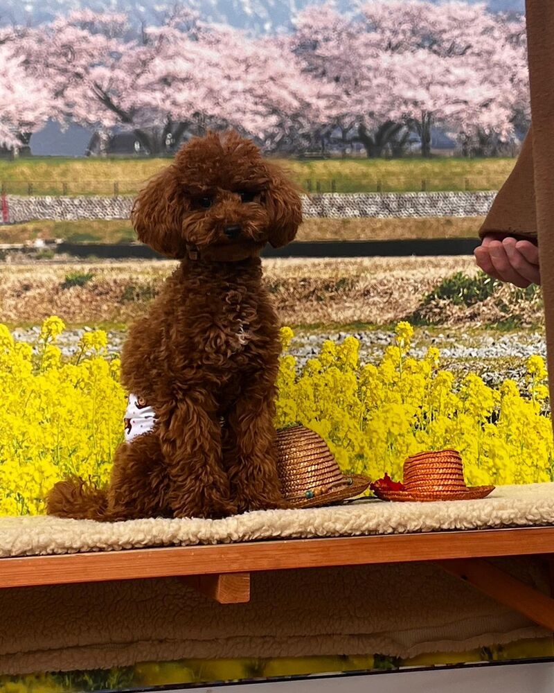 画像8922