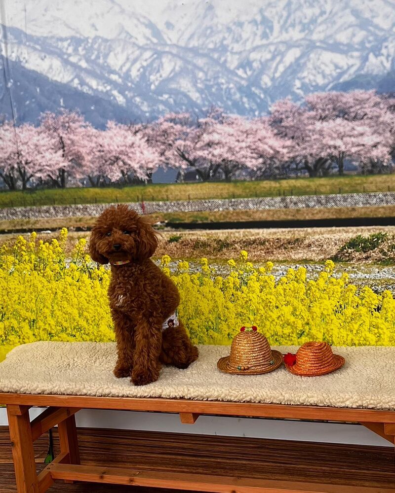 画像8924