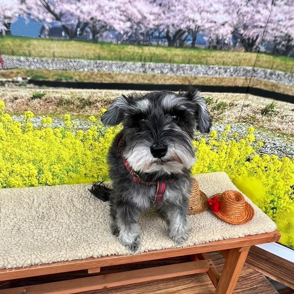 画像8934