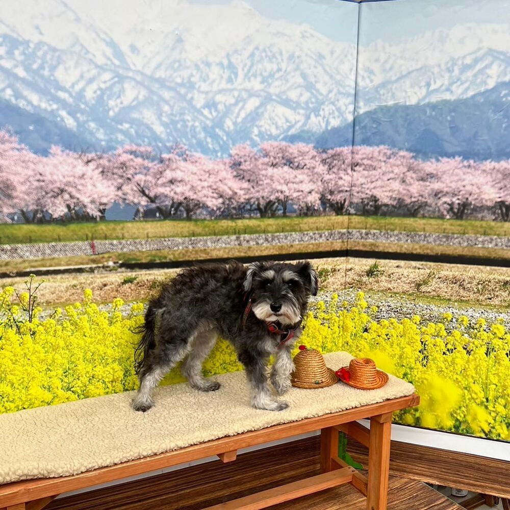 画像8935
