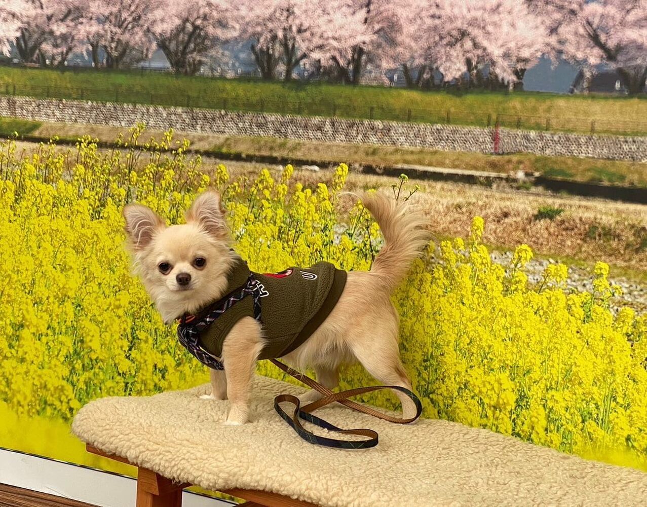 画像8986