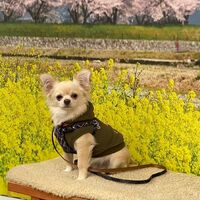 画像8990