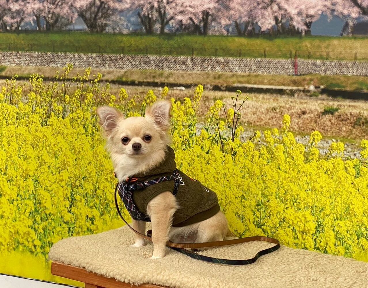 画像8990