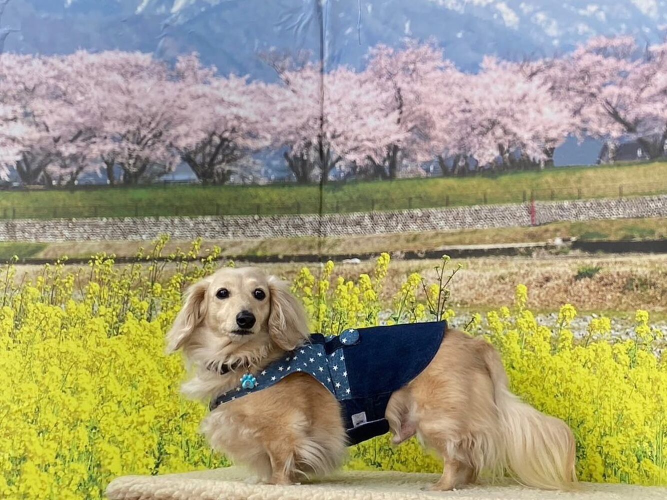画像9423