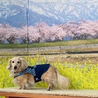 画像9425