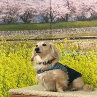 画像9433