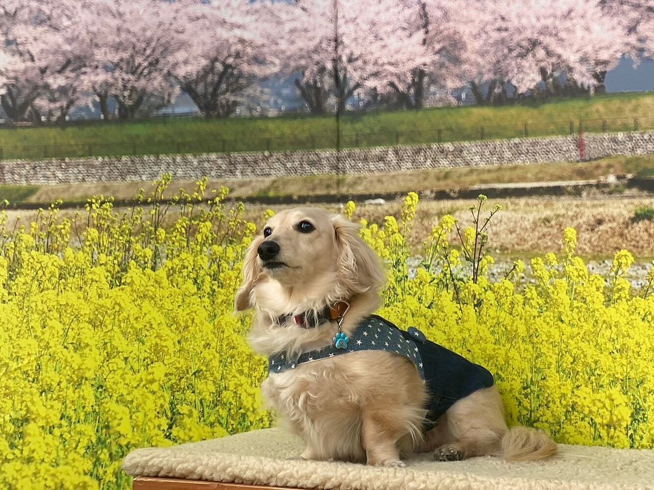画像9433