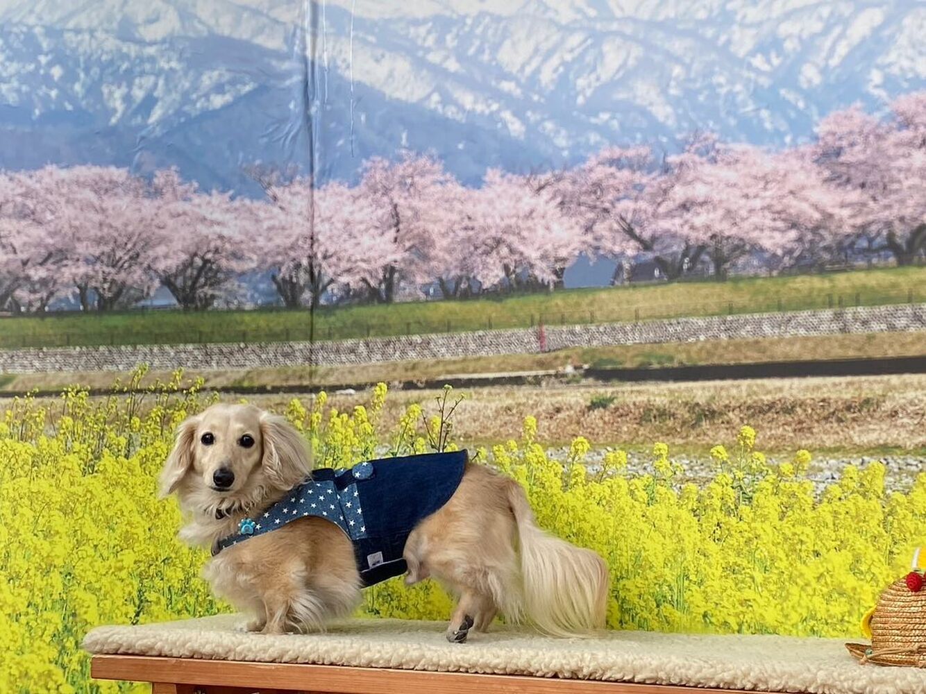 画像9436