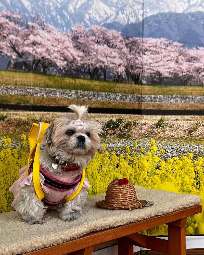 画像9458