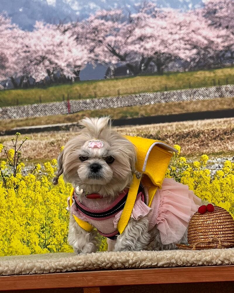 画像9460