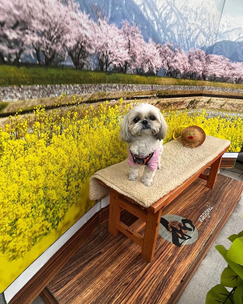 画像9476