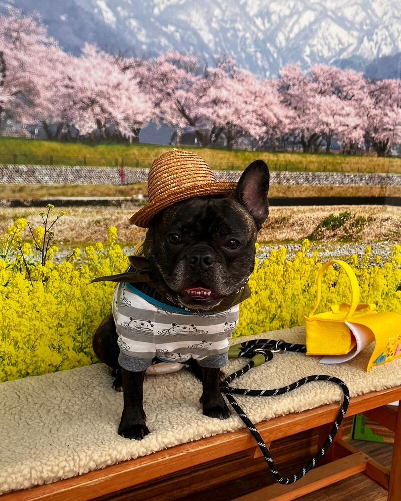 画像9486