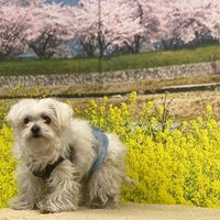 画像9503