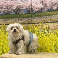 画像9505