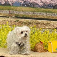画像9507