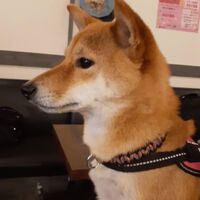 画像9566
