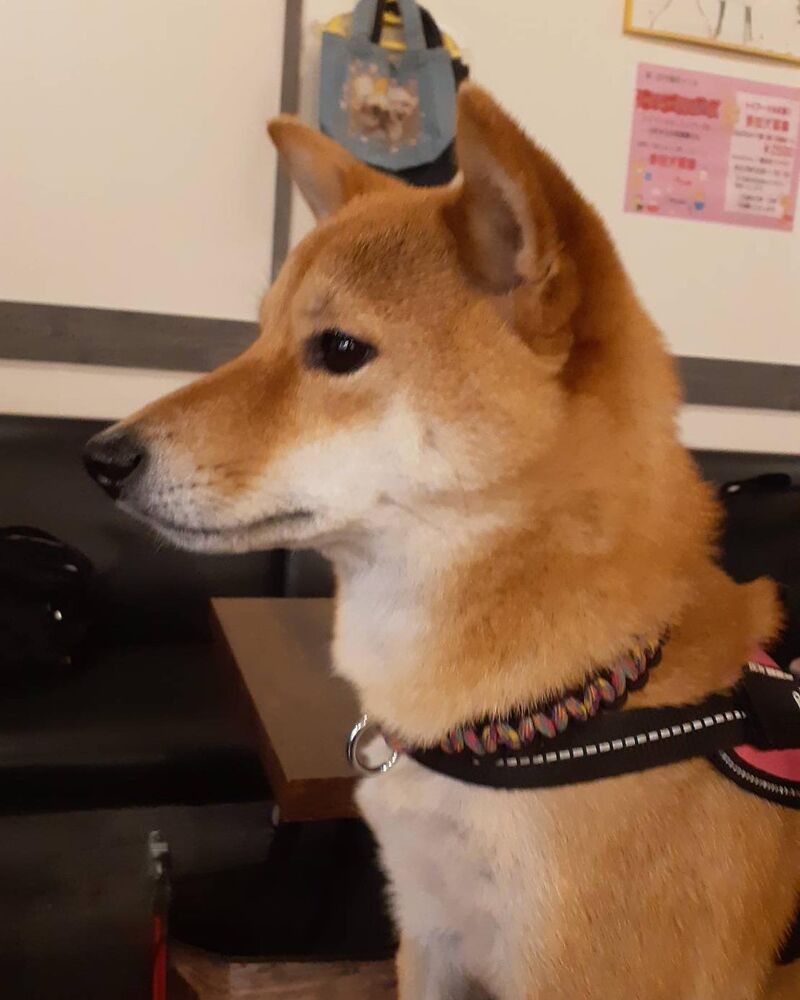 画像9566
