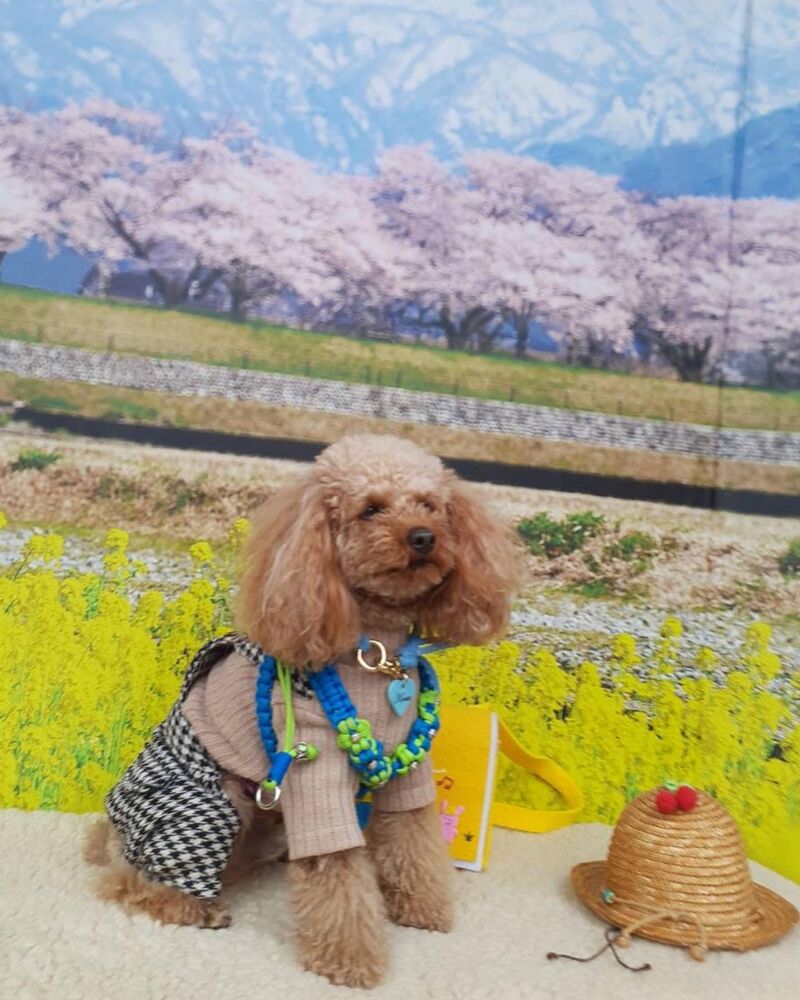画像9571