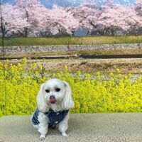 画像9584