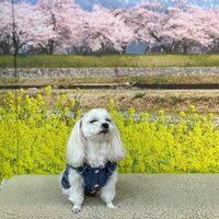 画像9585