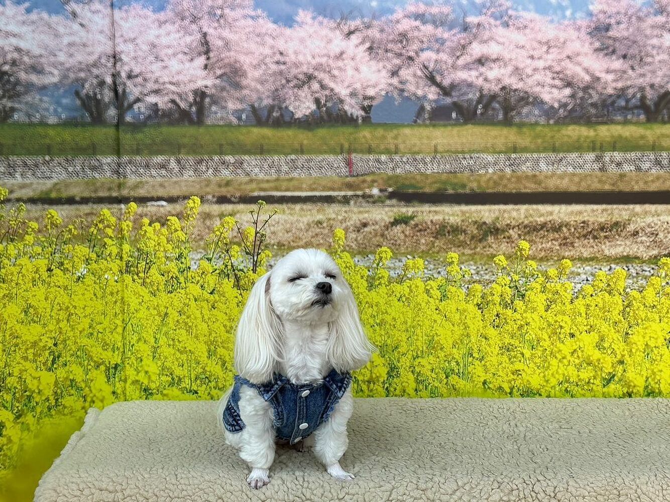 画像9585
