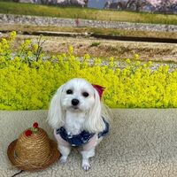 画像9586