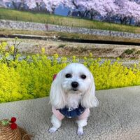 画像9587