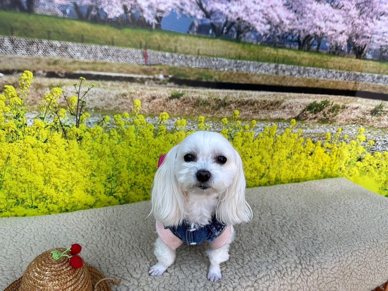 画像9587