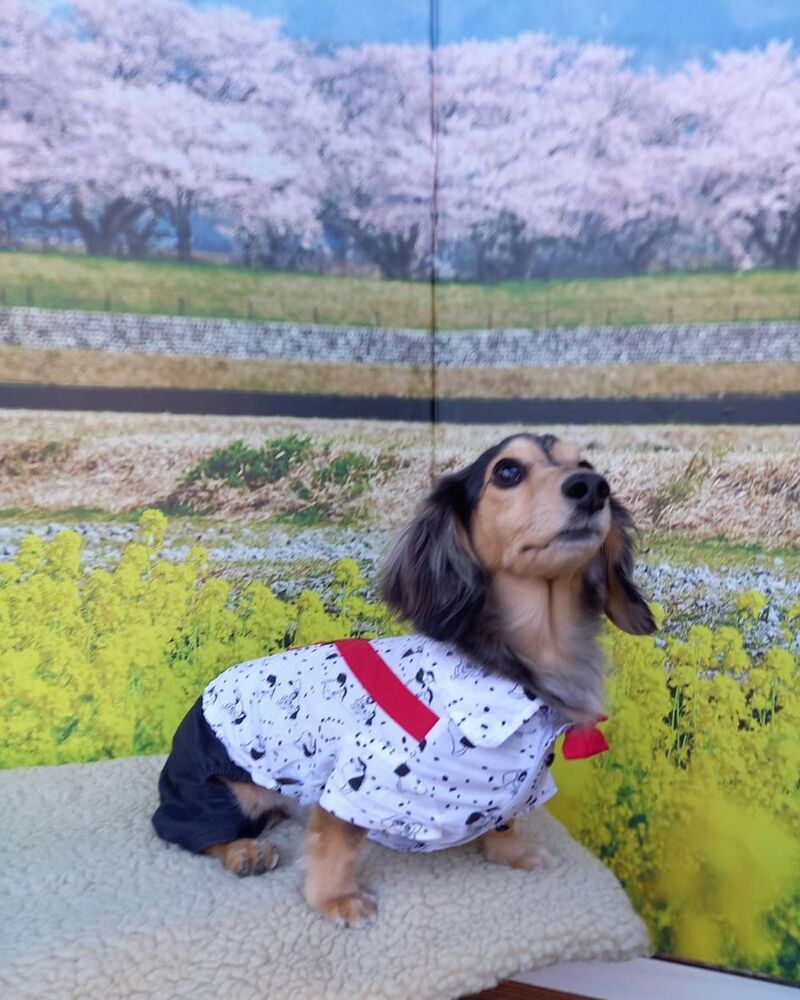 画像9597