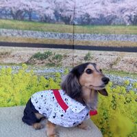 画像9598