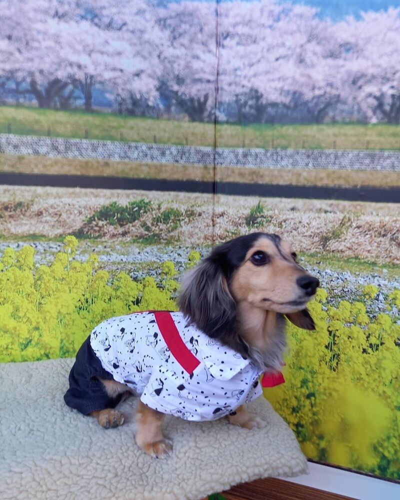 画像9598