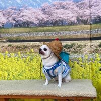 画像9605