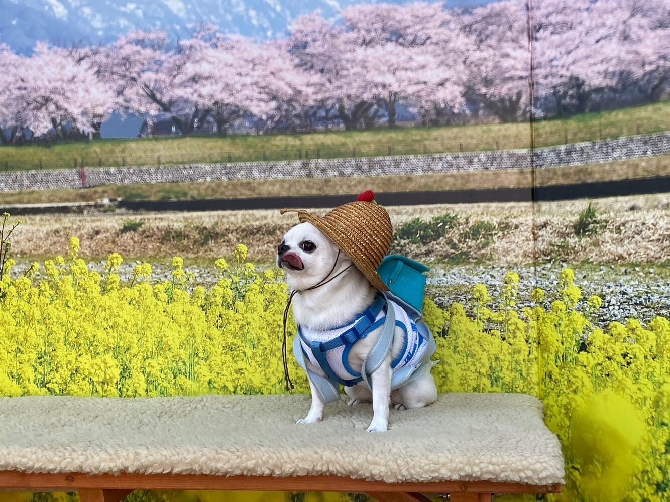 画像9605